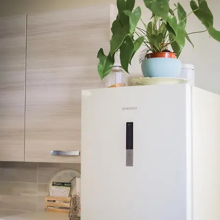 Nuovissimo Con Parcheggio Gratuito アパート *